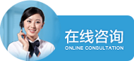 网站建设公司在线咨询